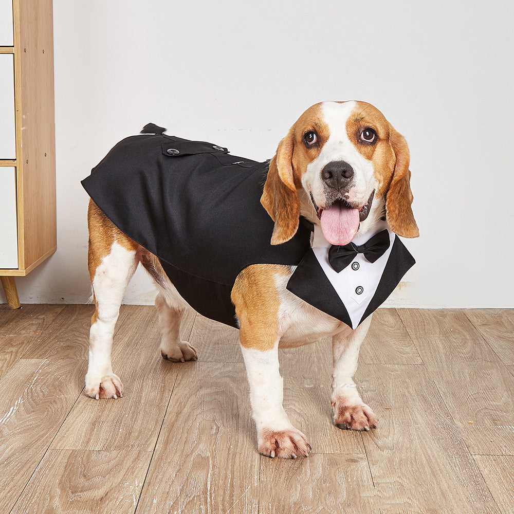Elevate Your Pet's Style with the Pet Wedding Suit Jacket